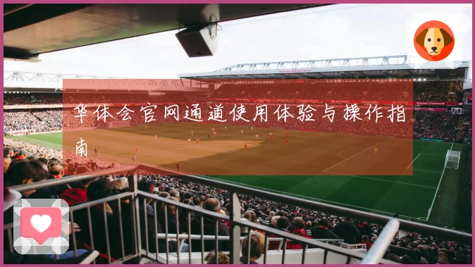 华体会官网通道使用体验与操作指南