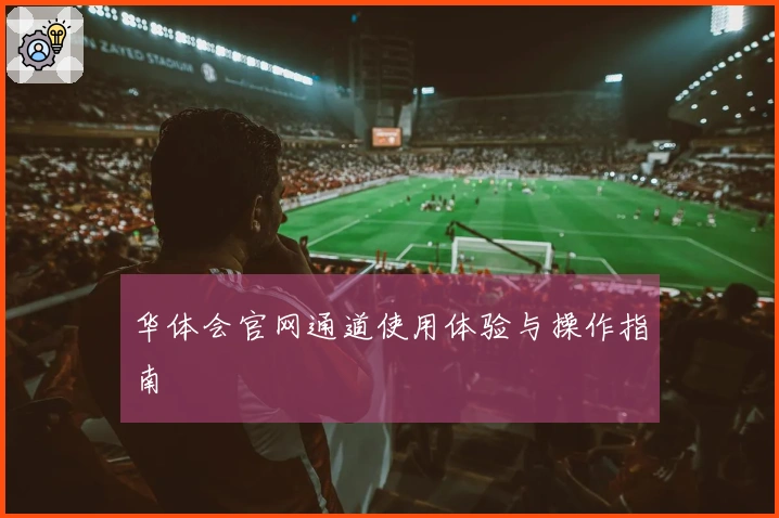 华体会官网通道使用体验与操作指南